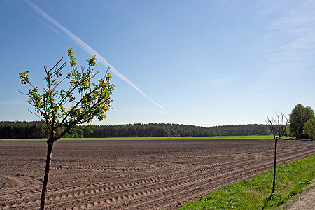 Teltow_10